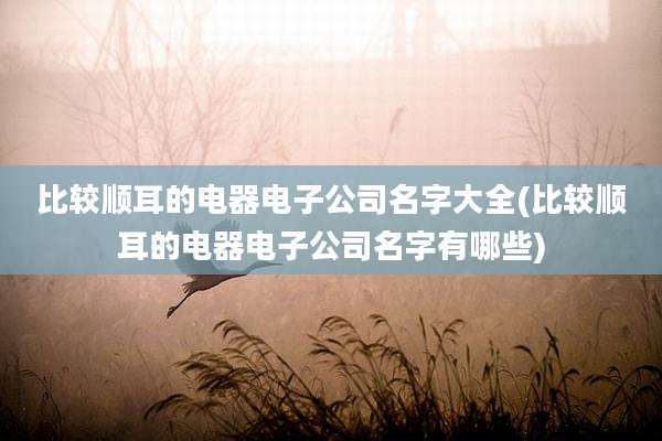 比较顺耳的电器电子公司名字大全(比较顺耳的电器电子公司名字有哪些)