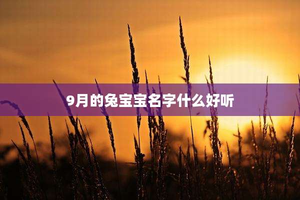 9月的兔宝宝名字什么好听