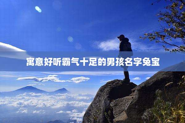 寓意好听霸气十足的男孩名字兔宝