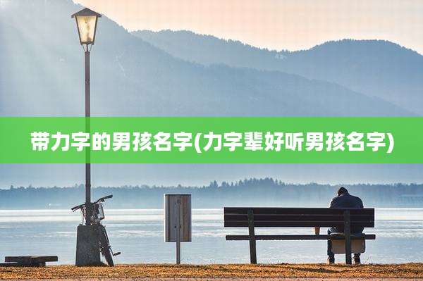 带力字的男孩名字(力字辈好听男孩名字)