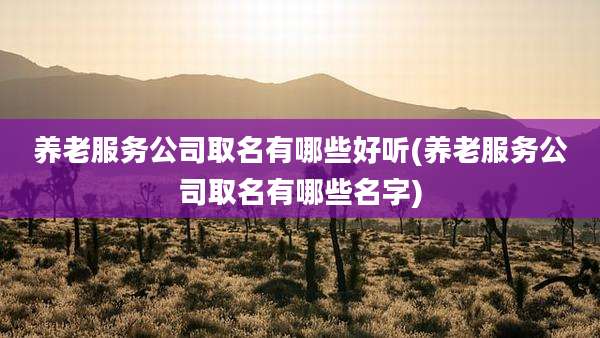 养老服务公司取名有哪些好听(养老服务公司取名有哪些名字)