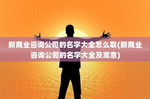 新商业咨询公司的名字大全怎么取(新商业咨询公司的名字大全及寓意)