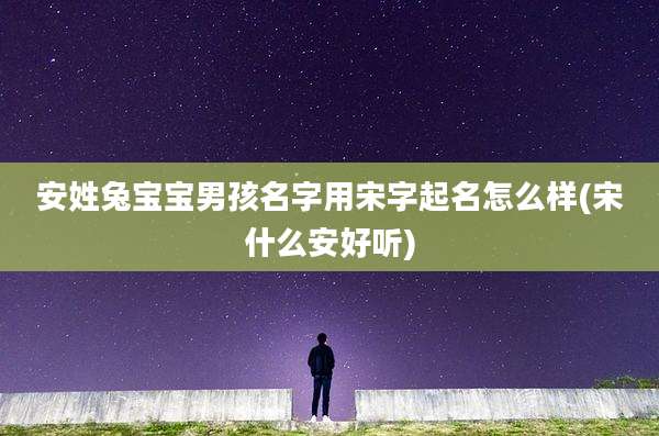 安姓兔宝宝男孩名字用宋字起名怎么样(宋什么安好听)