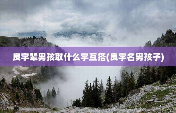 良字辈男孩取什么字互搭(良字名男孩子)
