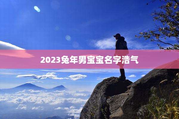 2023兔年男宝宝名字浩气