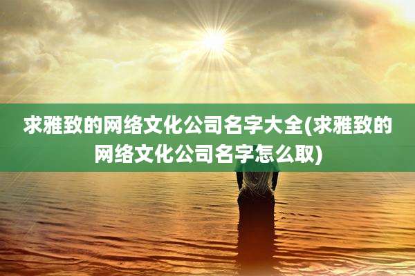 求雅致的网络文化公司名字大全(求雅致的网络文化公司名字怎么取)
