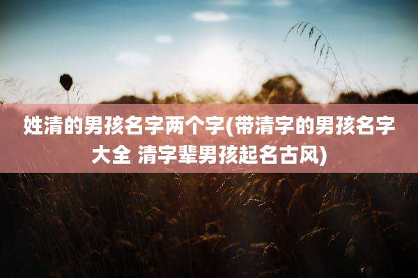 姓清的男孩名字两个字(带清字的男孩名字大全 清字辈男孩起名古风)