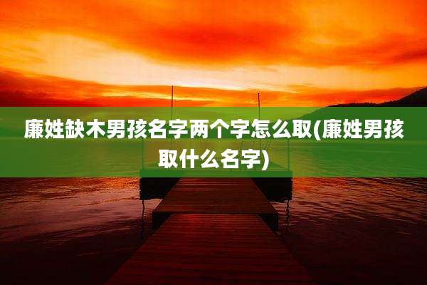 廉姓缺木男孩名字两个字怎么取(廉姓男孩取什么名字)