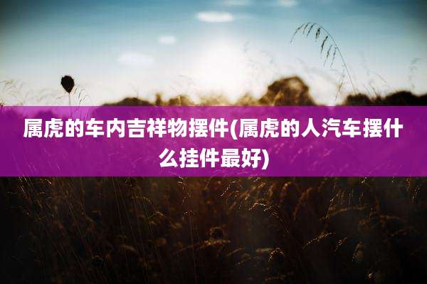 属虎的车内吉祥物摆件(属虎的人汽车摆什么挂件最好)