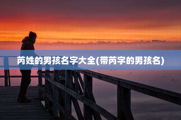 芮姓的男孩名字大全(带芮字的男孩名)