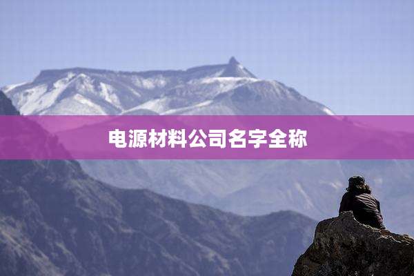 电源材料公司名字全称