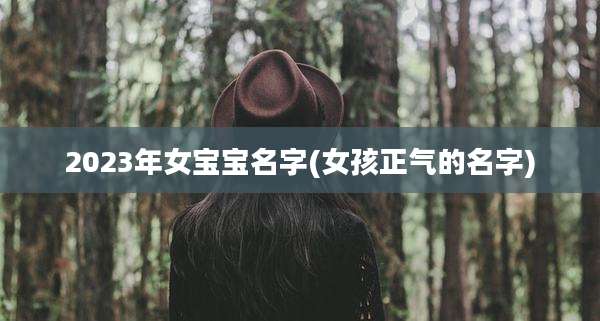 2023年女宝宝名字(女孩正气的名字)