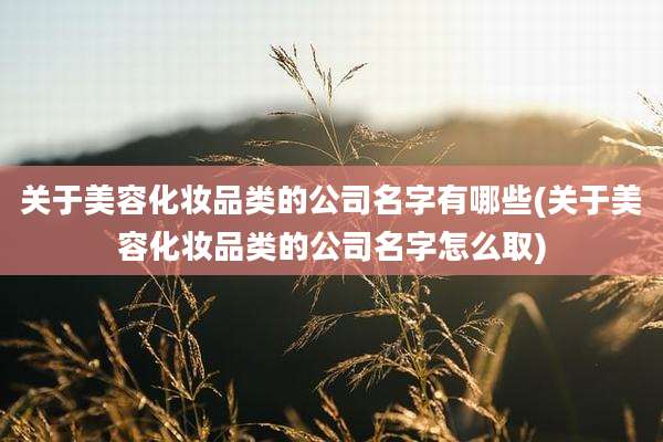 关于美容化妆品类的公司名字有哪些(关于美容化妆品类的公司名字怎么取)
