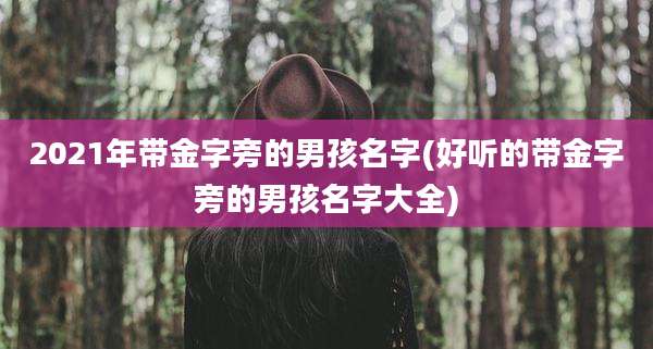 2021年带金字旁的男孩名字(好听的带金字旁的男孩名字大全)