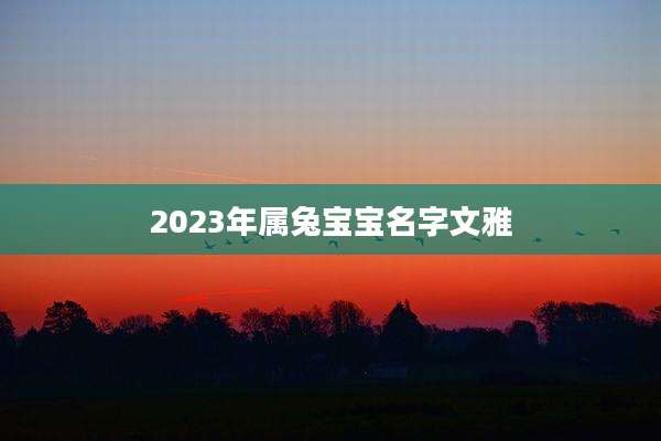 2023年属兔宝宝名字文雅