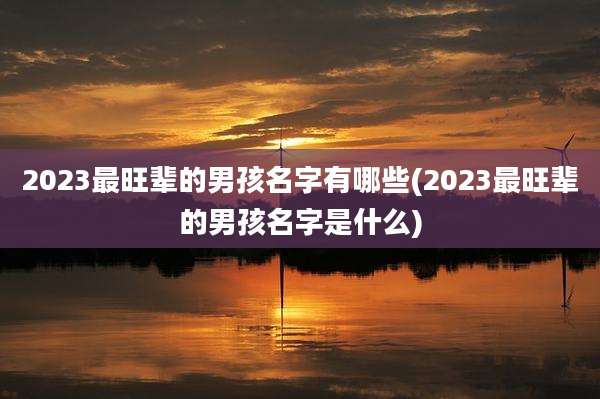 2023最旺辈的男孩名字有哪些(2023最旺辈的男孩名字是什么)