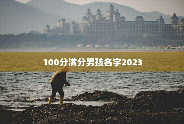 100分满分男孩名字2023