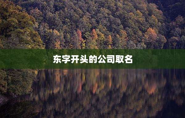 东字开头的公司取名