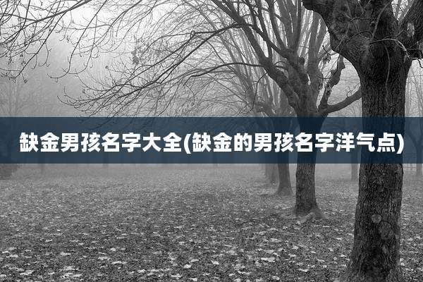 缺金男孩名字大全(缺金的男孩名字洋气点)