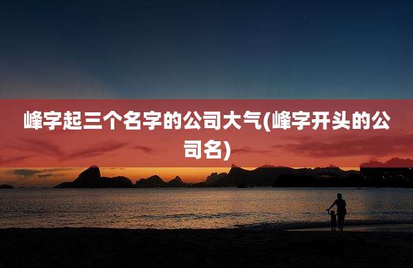 峰字起三个名字的公司大气(峰字开头的公司名)