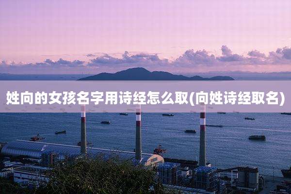 姓向的女孩名字用诗经怎么取(向姓诗经取名)
