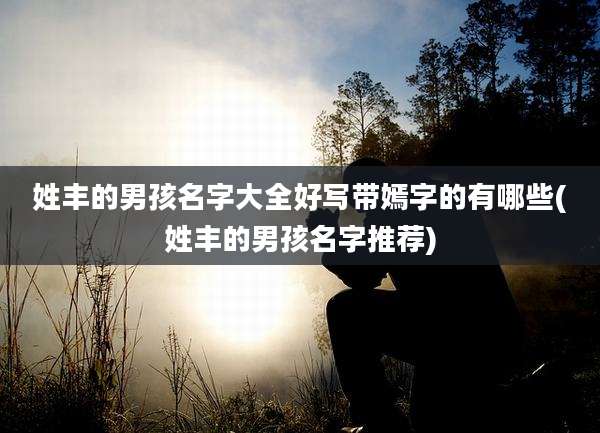 姓丰的男孩名字大全好写带嫣字的有哪些(姓丰的男孩名字推荐)