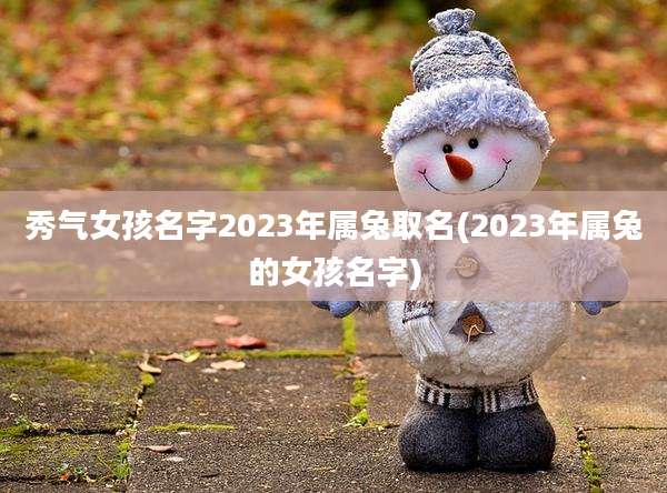 秀气女孩名字2023年属兔取名(2023年属兔的女孩名字)