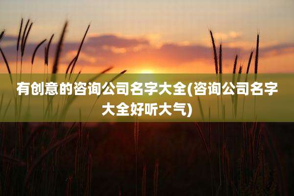有创意的咨询公司名字大全(咨询公司名字大全好听大气)