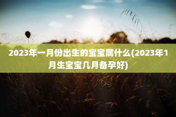 2023年一月份出生的宝宝属什么(2023年1月生宝宝几月备孕好)