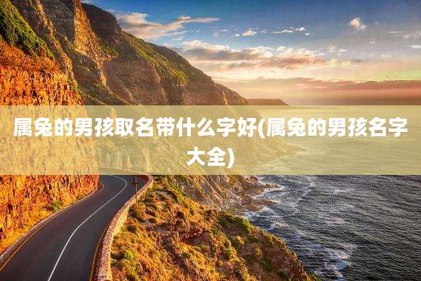 属兔的男孩取名带什么字好(属兔的男孩名字大全)
