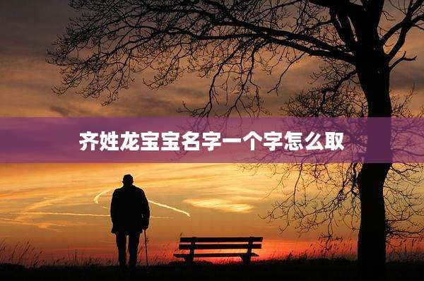 齐姓龙宝宝名字一个字怎么取