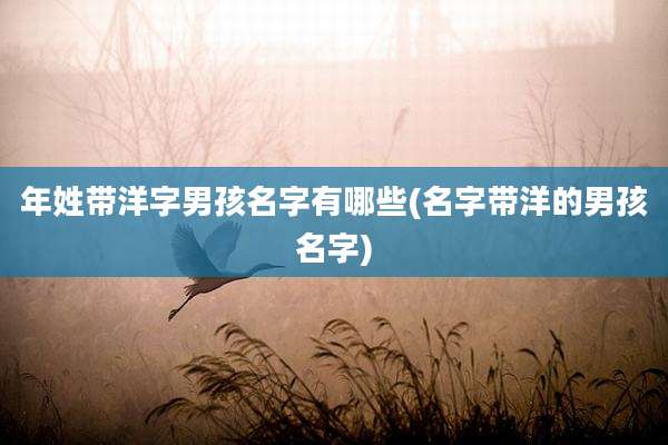 年姓带洋字男孩名字有哪些(名字带洋的男孩名字)