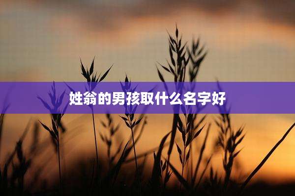 姓翁的男孩取什么名字好
