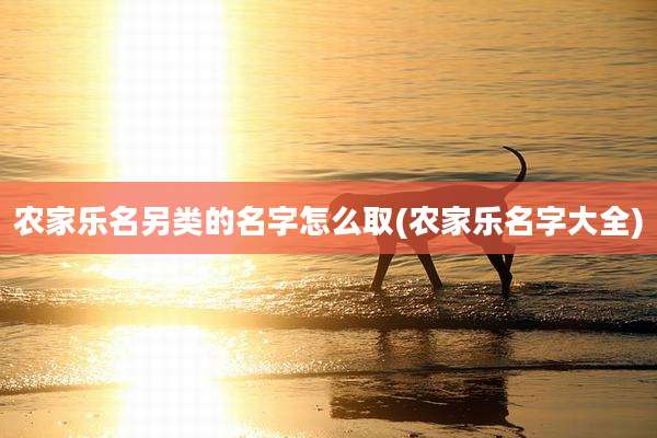 农家乐名另类的名字怎么取(农家乐名字大全)