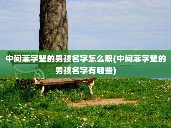 中间菲字辈的男孩名字怎么取(中间菲字辈的男孩名字有哪些)