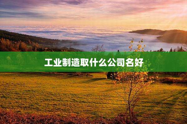 工业制造取什么公司名好