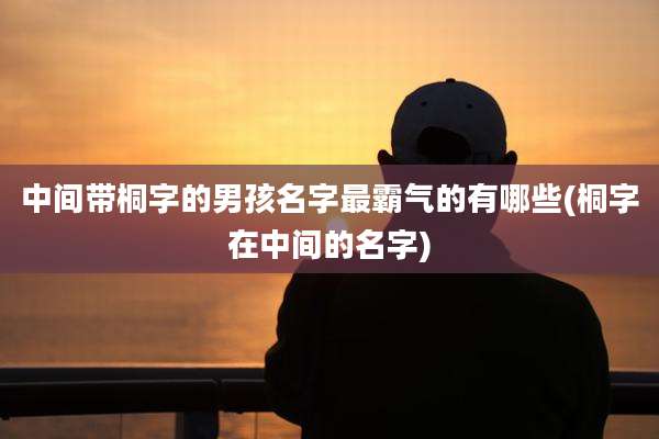 中间带桐字的男孩名字最霸气的有哪些(桐字在中间的名字)