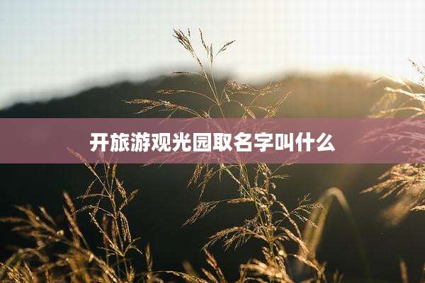 开旅游观光园取名字叫什么