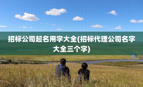招标公司起名用字大全(招标代理公司名字大全三个字)