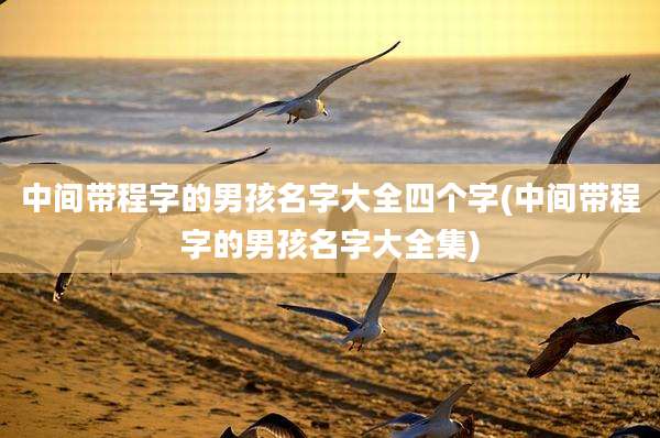 中间带程字的男孩名字大全四个字(中间带程字的男孩名字大全集)