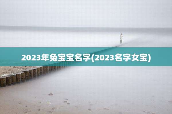 2023年兔宝宝名字(2023名字女宝)