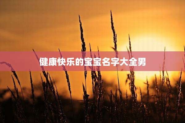 健康快乐的宝宝名字大全男