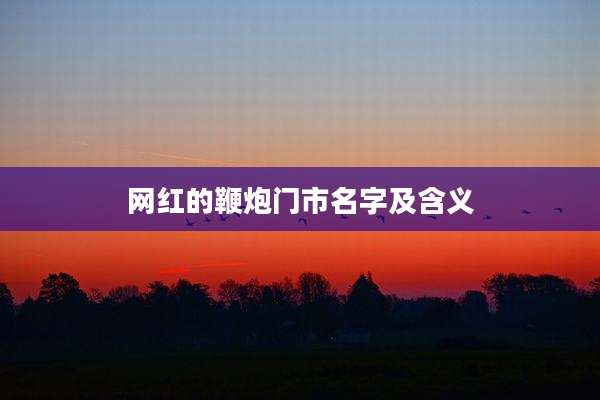 网红的鞭炮门市名字及含义