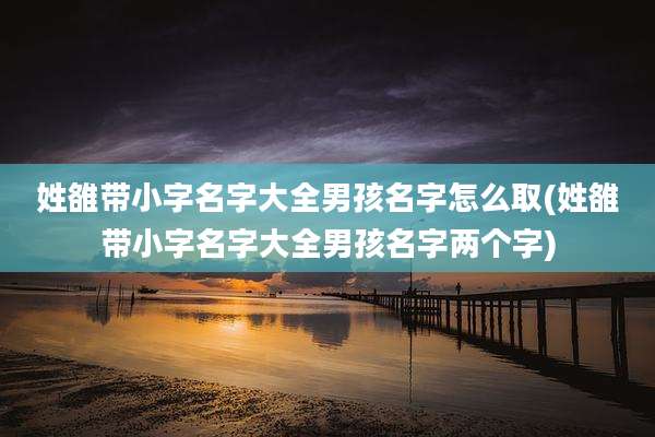 姓雒带小字名字大全男孩名字怎么取(姓雒带小字名字大全男孩名字两个字)