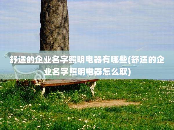 舒适的企业名字照明电器有哪些(舒适的企业名字照明电器怎么取)