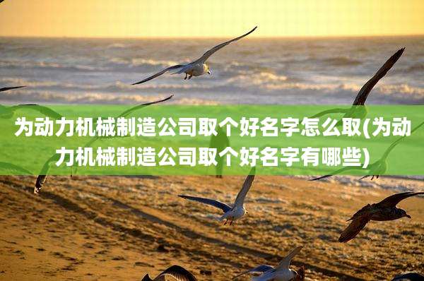 为动力机械制造公司取个好名字怎么取(为动力机械制造公司取个好名字有哪些)