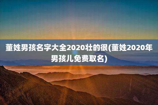 董姓男孩名字大全2020壮的很(董姓2020年男孩儿免费取名)
