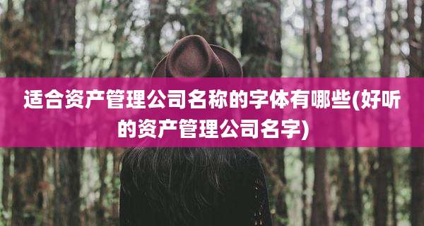 适合资产管理公司名称的字体有哪些(好听的资产管理公司名字)