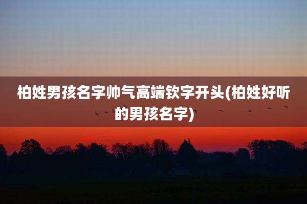 柏姓男孩名字帅气高端钦字开头(柏姓好听的男孩名字)