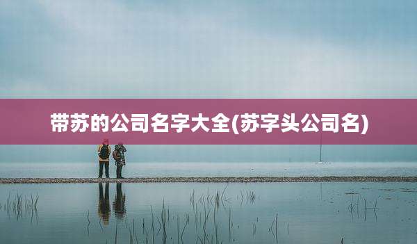 带苏的公司名字大全(苏字头公司名)
